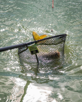 Matrix Carp Scoop Landing Nets