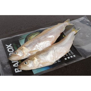 Seafreeze Large Smelt 3/4's(Instore Only)